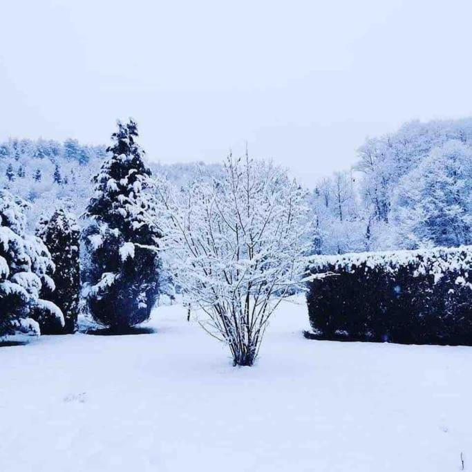 Maison 6 Places, En Plein Coeur De L'Ariege, Proche Ski Et Nature Lesparrou ภายนอก รูปภาพ