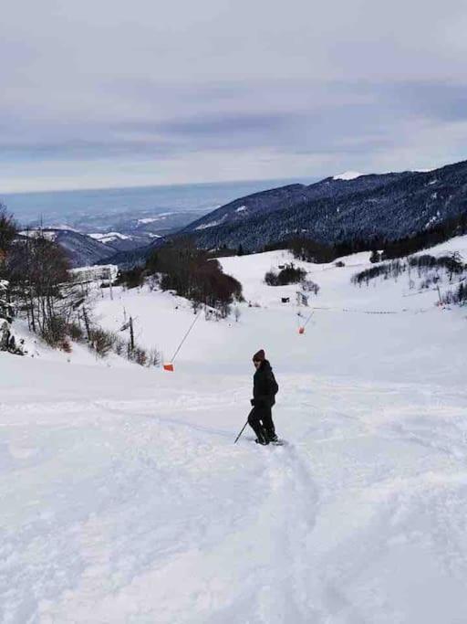 Maison 6 Places, En Plein Coeur De L'Ariege, Proche Ski Et Nature Lesparrou ภายนอก รูปภาพ