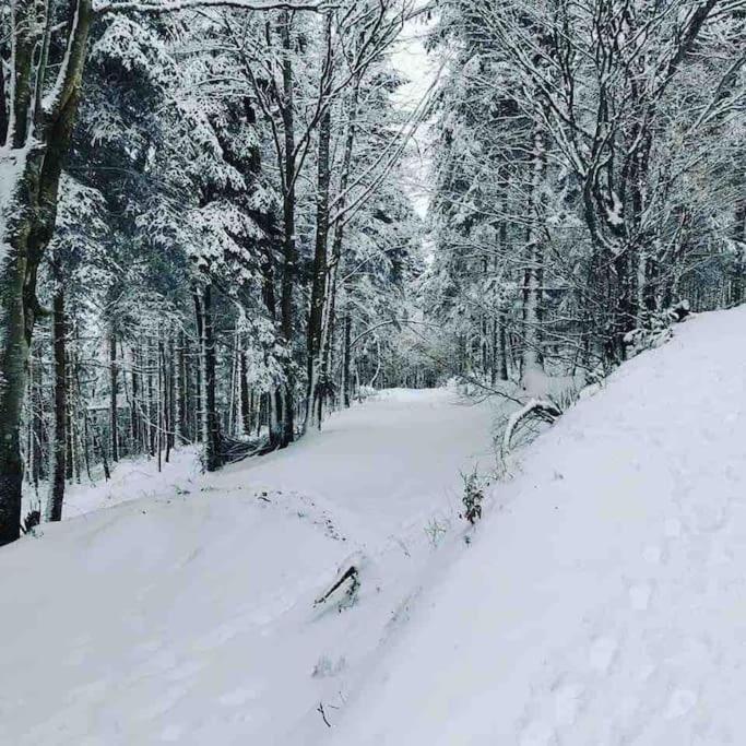 Maison 6 Places, En Plein Coeur De L'Ariege, Proche Ski Et Nature Lesparrou ภายนอก รูปภาพ